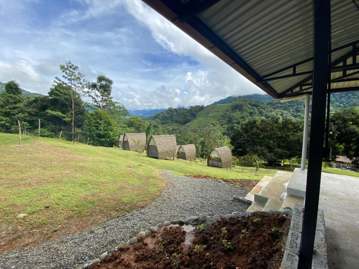 Esquipulas Rainforest Quepos Zewnętrze zdjęcie