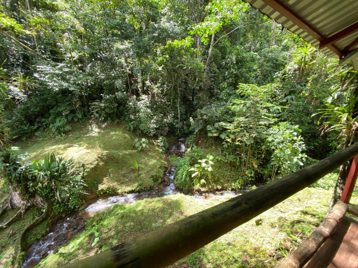 Esquipulas Rainforest Quepos Zewnętrze zdjęcie