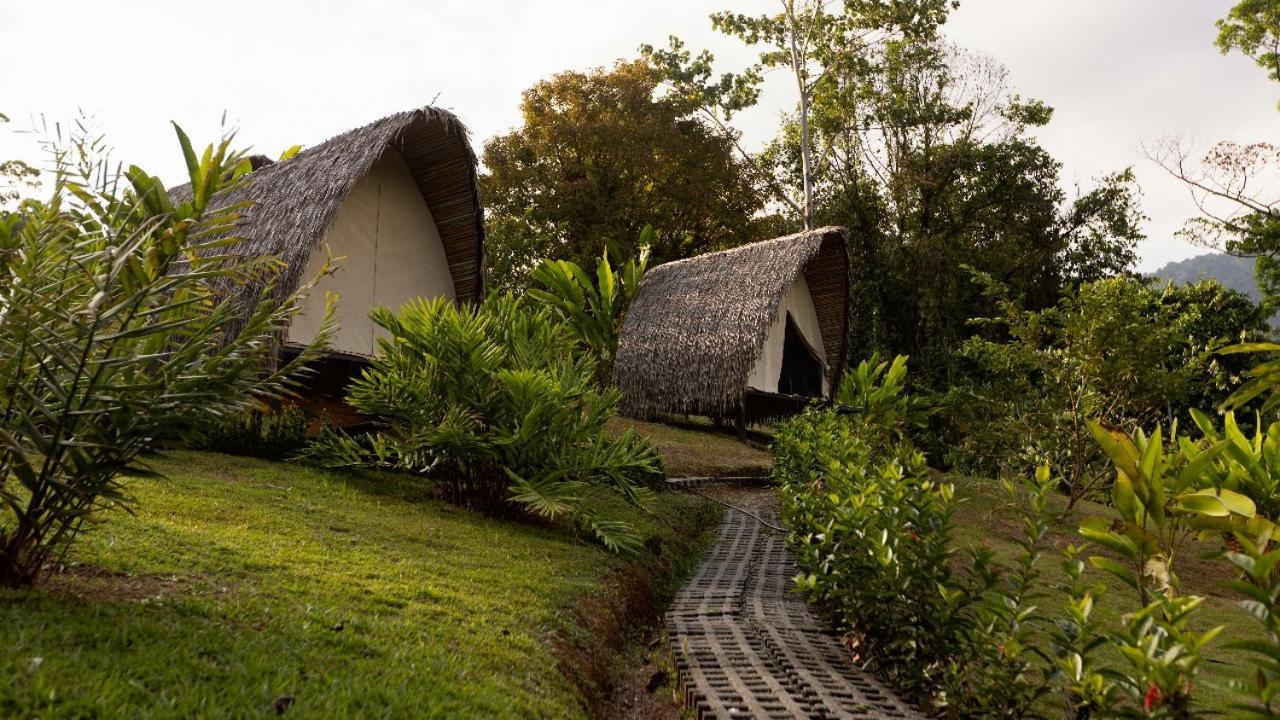 Esquipulas Rainforest Quepos Zewnętrze zdjęcie