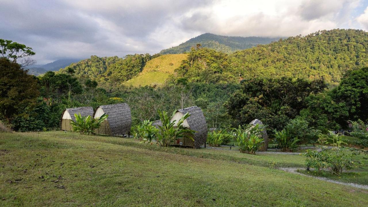 Esquipulas Rainforest Quepos Zewnętrze zdjęcie