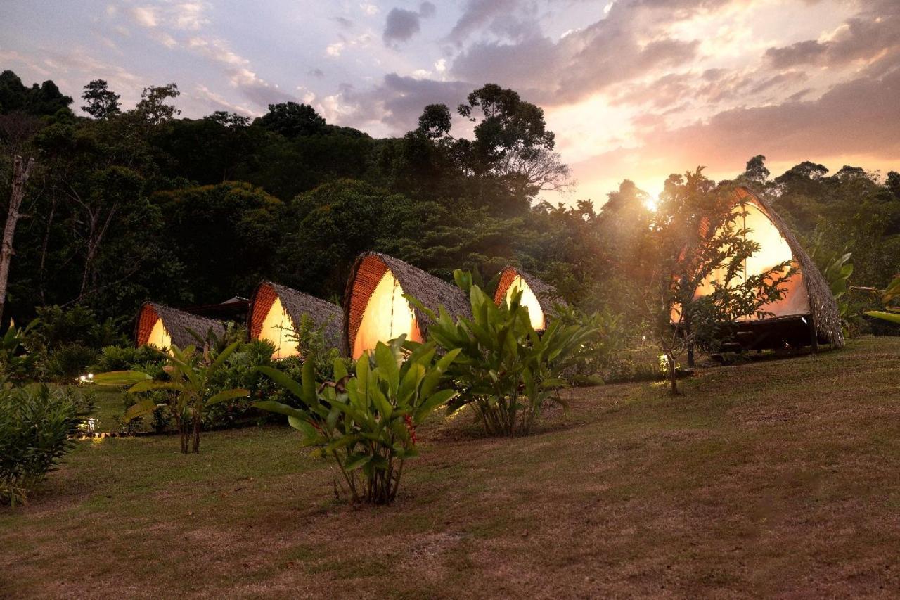 Esquipulas Rainforest Quepos Zewnętrze zdjęcie